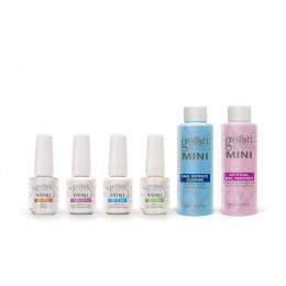 Gelish Mini Basix Kit - набор базовых средств для  покрытия